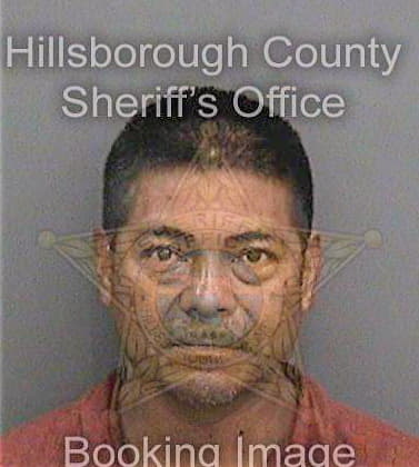 Mendezreyes Elias - Hillsborough County, FL 
