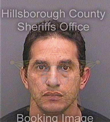 Garciafranquis Fernando - Hillsborough County, FL 