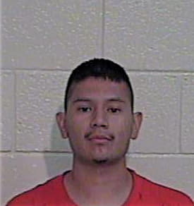 Ramos Fernando - Hidalgo County, TX 