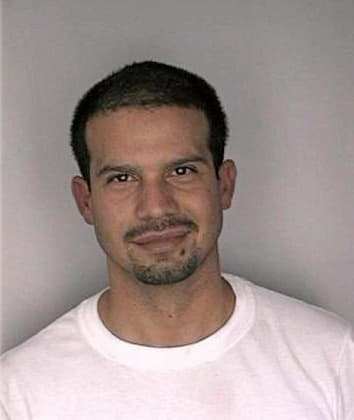 Mendoza Rodrigo - Hillsborough County, FL 