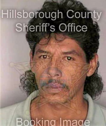 Ramirez Juan - Hillsborough County, FL 