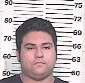 Perez Jose - Hidalgo County, TX 