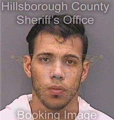 Fonsecacabrera Efren - Hillsborough County, FL 