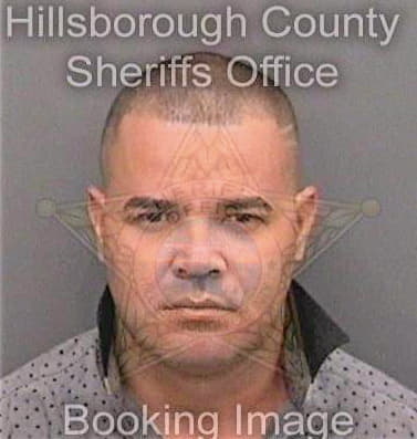 Chillvelazquez Lisandro - Hillsborough County, FL 