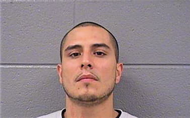 Deleon Mark - Cook County, IL 