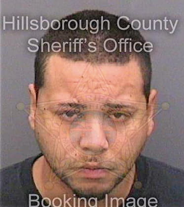 Gonzalez Steven - Hillsborough County, FL 