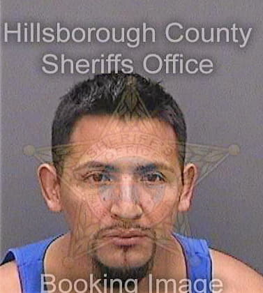 Felipelopez Jose - Hillsborough County, FL 