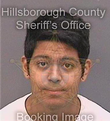 Martinezhuratdo Aldo - Hillsborough County, FL 