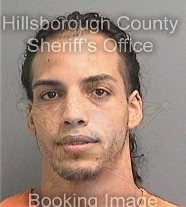 Ortizmarrero Omar - Hillsborough County, FL 