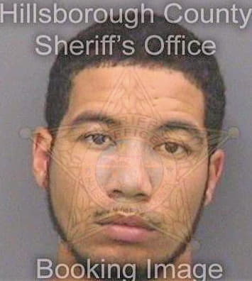 Bell Arnold - Hillsborough County, FL 