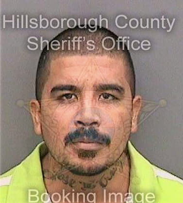 Cruz Jose - Hillsborough County, FL 