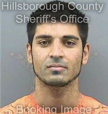 Sattakeh Afschin - Hillsborough County, FL 