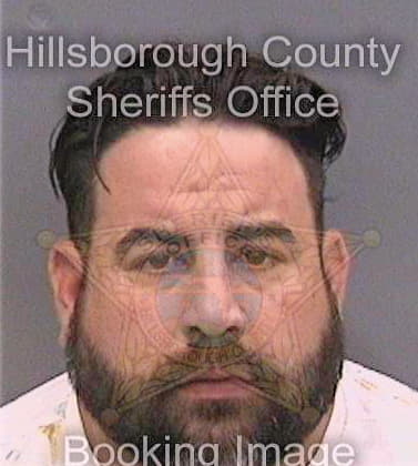 Fernandezgonzalez Auniesky - Hillsborough County, FL 