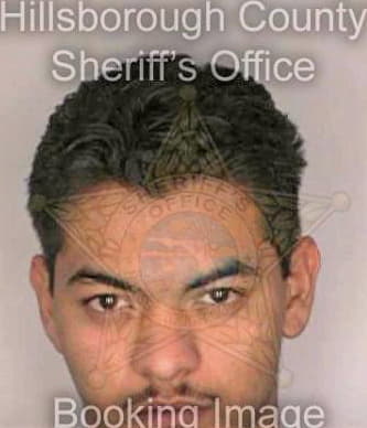 Mendoza Rigoberto - Hillsborough County, FL 