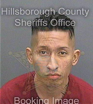 Rivera Carlos - Hillsborough County, FL 