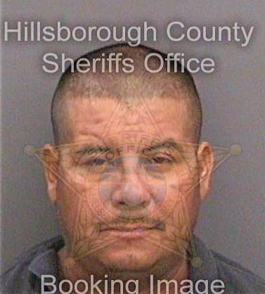 Bautistahernandez Andres - Hillsborough County, FL 