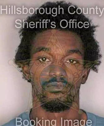 Smith Che - Hillsborough County, FL 