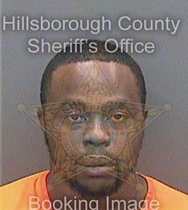 Baldwin Curtis - Hillsborough County, FL 