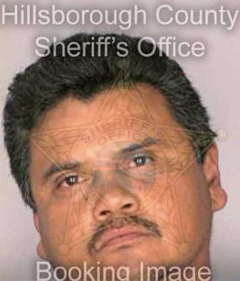 Medrano Martin - Hillsborough County, FL 