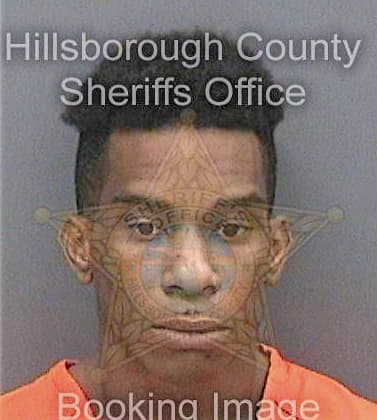 Davis Jelani - Hillsborough County, FL 