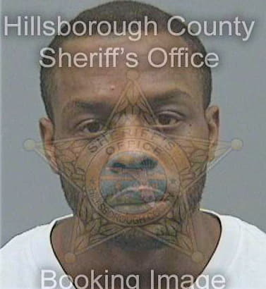 Singletary Lasanchez - Hillsborough County, FL 