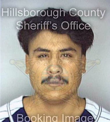 Segouiamartinez Mario - Hillsborough County, FL 