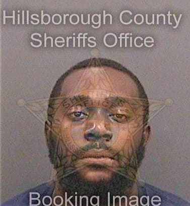 Nelson Dashawn - Hillsborough County, FL 