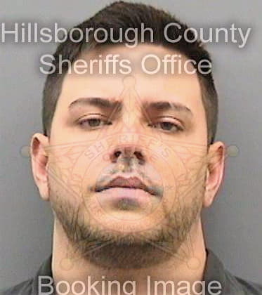 Hanley James - Hillsborough County, FL 