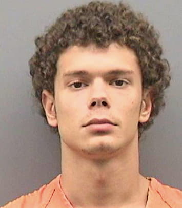 Zelcevic Igor - Hillsborough County, FL 