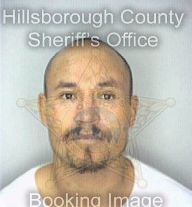 Mejiaarrendondo Artemio - Hillsborough County, FL 