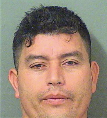 Lopezmorales Misael - PalmBeach County, FL 