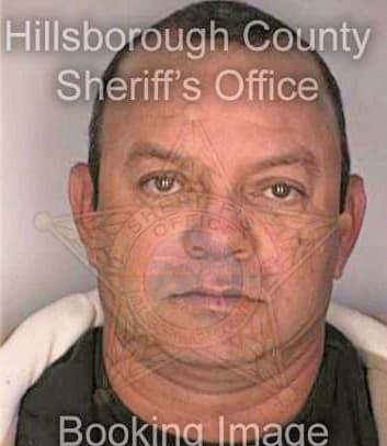 Hernandez Wilfredo - Hillsborough County, FL 