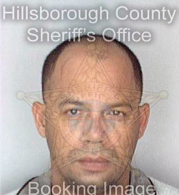 Vega Juan - Hillsborough County, FL 