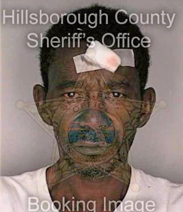 Simpson Sidney - Hillsborough County, FL 