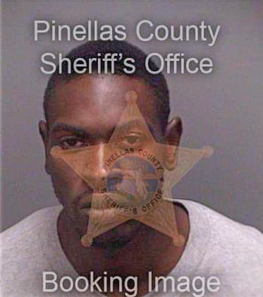 Singletary Alan - Pinellas County, FL 