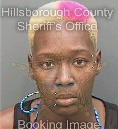 Mccrimmon Fairrin - Hillsborough County, FL 