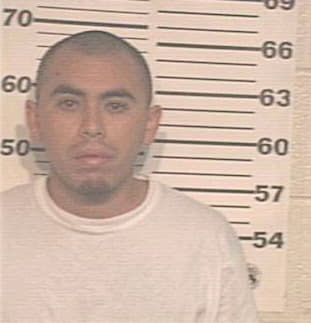 Hernandez Gabriel - Hidalgo County, TX 