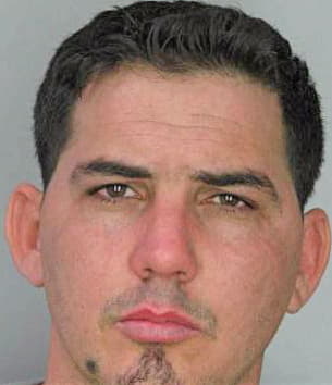 Silva Noel - Hillsborough County, FL 
