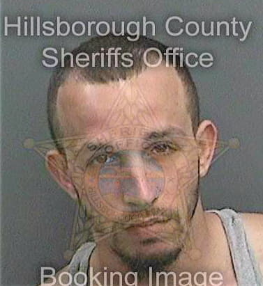 Hurtt Joseph - Hillsborough County, FL 