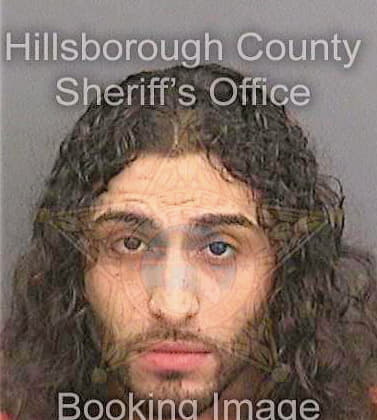 Cintron Luis - Hillsborough County, FL 