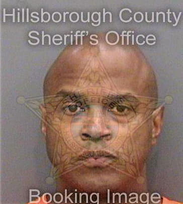 Mebane Sean - Hillsborough County, FL 
