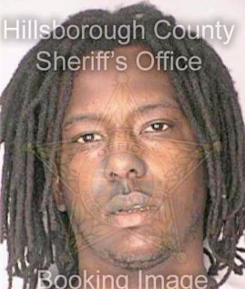 Holmes Demetrius - Hillsborough County, FL 