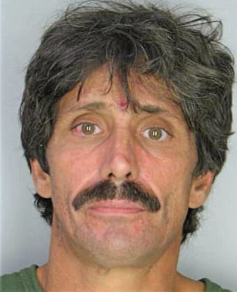 Mcdonald Frank - Hillsborough County, FL 