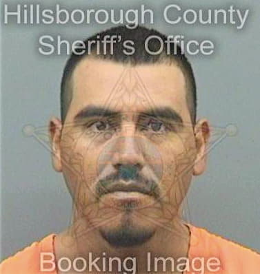 Olaezhernandez Juan - Hillsborough County, FL 