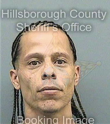 Ortiz Carlos - Hillsborough County, FL 