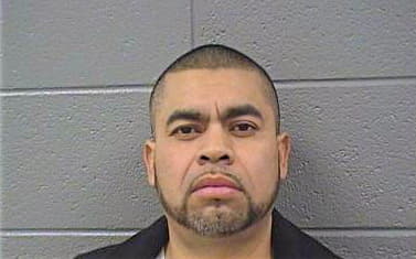 Partida-Camacho David - Cook County, IL 