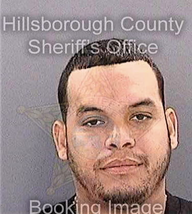 Leal Albert - Hillsborough County, FL 