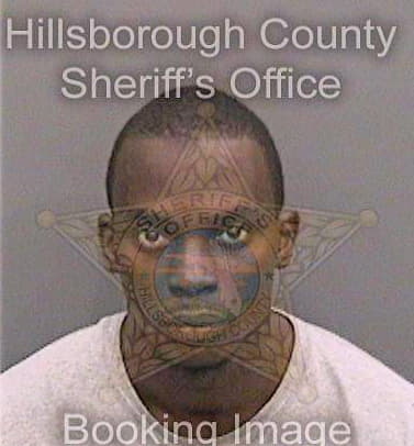Simpson Jamal - Hillsborough County, FL 