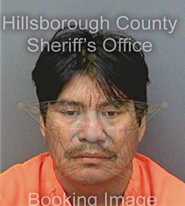 Hernandezdelacruz Manuel - Hillsborough County, FL 