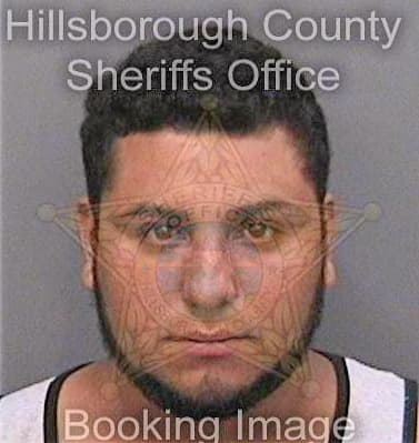 Gomezmorales Mario - Hillsborough County, FL 